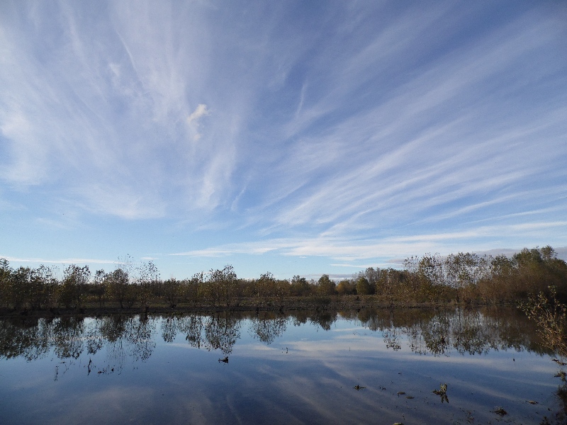 Parco del ticino 1.11.12